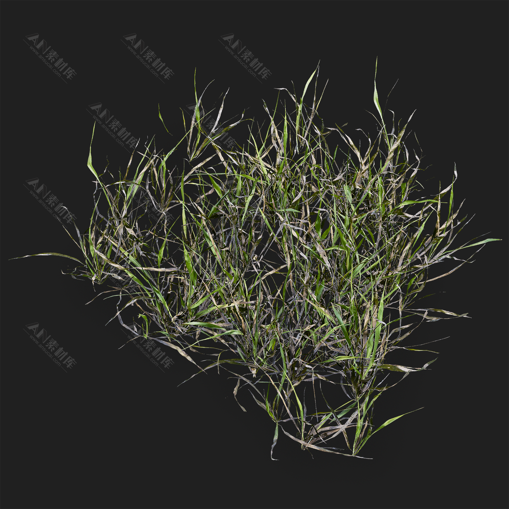 植物青草从杂草3d模型fbx格式贴图132